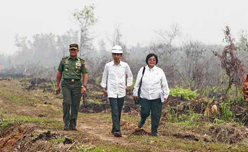 Indonesia dùng máy bay không người lái hỗ trợ dập cháy rừng